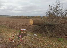 Šajā vietā Septembra vidū Gulbenes novada Lizuma pagastā vēlā nakts stundā pieci jaunieši ar automašīnu ietriecās kokā. 