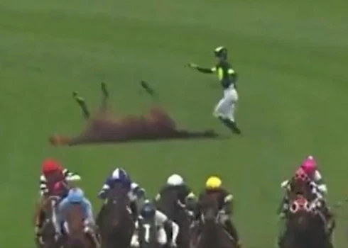 Jāšanas sporta pārzinātāji saprot, ka notikušajam bija jābeidzas letāli, tomēr Think About it spēja apmānīt paša nāvi.