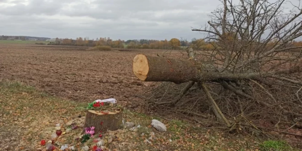 Здесь в середине сентября пятеро молодых людей поздно ночью врезались на своем автомобиле в дерево.