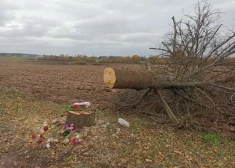 Здесь в середине сентября пятеро молодых людей поздно ночью врезались на своем автомобиле в дерево.