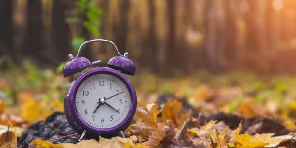 Иллюстративное фото.