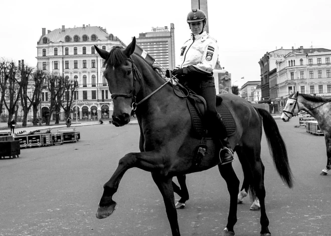 Negaidīti miris Valsts policijas dienesta zirgs Kostja