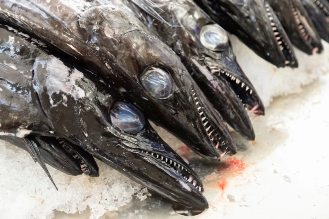 “Mercado dos Lavradores” – zemnieku tirgus Funšalas centrā. Labāk ierasties agrāk, tad varēs apskatīt, kāds loms savests no okeāna.