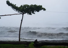 Japānas Meteoroloģijas aģentūra paziņoja, ka "silts un mitrs gaiss (..) Japānas rietumos izraisīja spēcīgas lietusgāzes ar pērkona negaisu". Aģentūra skaidroja, ka tās ir taifūna "Kong-rey" atskaņas.  Macujamas varasiestādes izsludināja augstākā līmeņa brīdinājumu, aicinot 189 552 iedzīvotājus evakuēties, ziņu aģentūrai AFP paziņoja pilsētas amatpersona.  Meteorologi brīdinājuši, ka sestdien Japānas rietumus un svētdien Japānas austrumus varētu skart zemes nogruvumi un plūdi.  Taifūns "Kong-rey" ceturtdien skāra Taivānu, laupot dzīvību vismaz trim cilvēkiem un gandrīz 700 ievainojot. Tā bija viena no lielākajām vētrām, kas skārusi Taivānu pēdējās desmitgadēs.