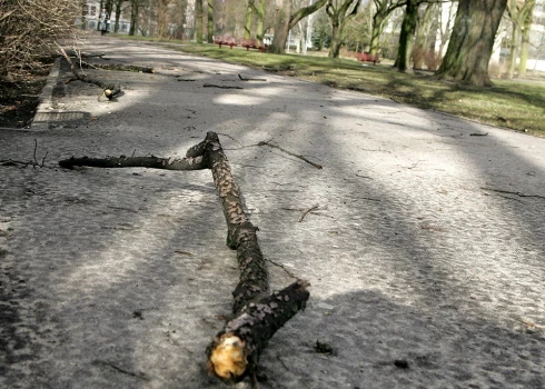 Lielākoties iedzīvotāji ziņojuši par kokiem, kas nokrituši uz autoceļa braucamās daļas.