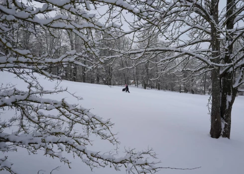 Latvijā un Eiropā prognozē augstāku temperatūru par normu.