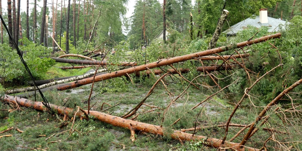 Последствия бури в Каугури.