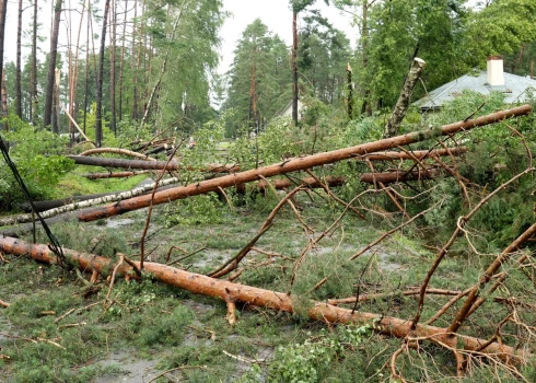 Последствия бури в Каугури.