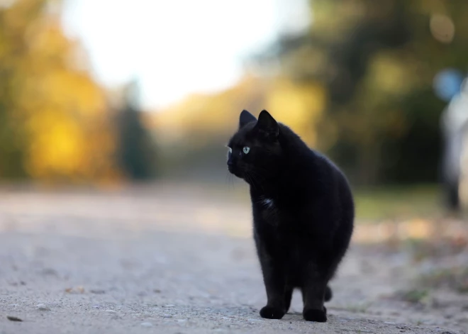 Piektdiena Latvijā bez lietus