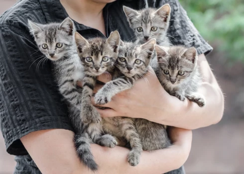 Mājdzīvnieks nav pirmās nepieciešamības prece. Ja nevari atlicināt naudu labai dzīvnieku pārtikai, veterinārmedicīnai un uz katra soļa gribi ietaupīt, labāk dzīvnieku neņem.