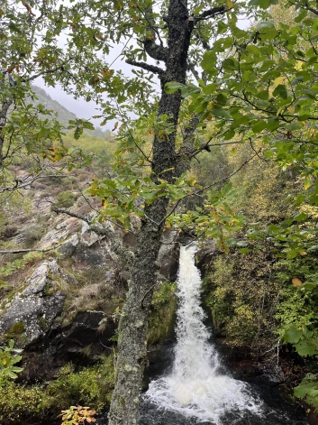 Mežu, kalnu un okeāna ieskautā Astūrijas province Spānijas ziemeļaustrumos ir valsts zaļākais apgabals.