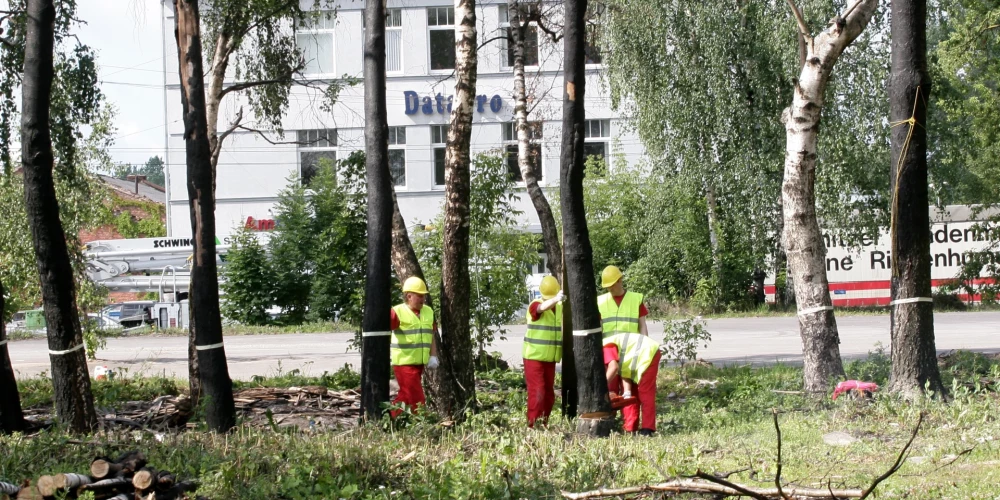 Иллюстративное фото.