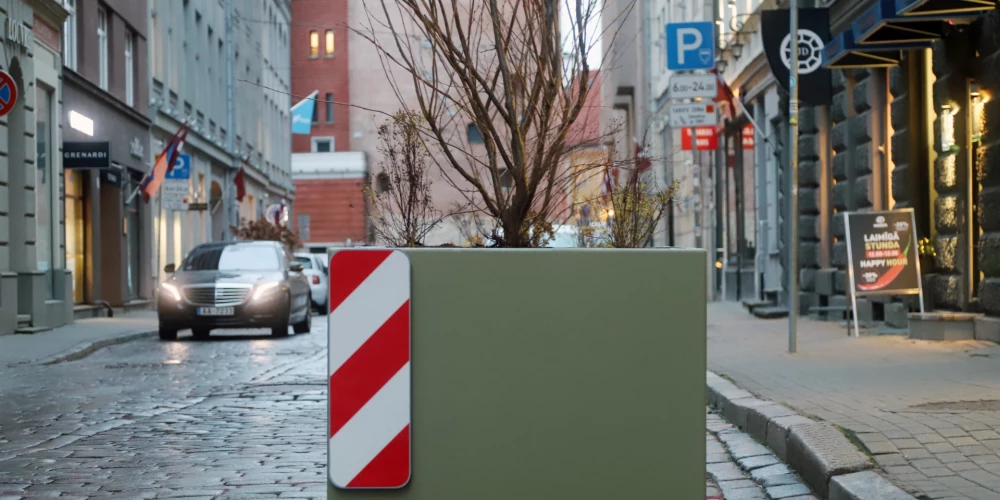 Koku stādīšanu un kopšanu Rīgā veic tikai kvalificēti speciālisti – dārznieki, ainavu būvtehniķi, arboristi, arboristi – koku tehniķi, un tie rūpējas, lai koki un apstādījumi būtu piemēroti Latvijas klimatam.