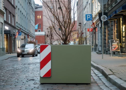 Koku stādīšanu un kopšanu Rīgā veic tikai kvalificēti speciālisti – dārznieki, ainavu būvtehniķi, arboristi, arboristi – koku tehniķi, un tie rūpējas, lai koki un apstādījumi būtu piemēroti Latvijas klimatam.