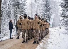 ФОТО: мэр Риги и яунсарги выбрали рождественские елки для главных площадей города