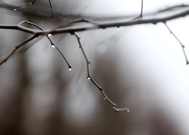 Trešdien Latvijā – migla un lietus, saule uzspīdēs tikai retumis