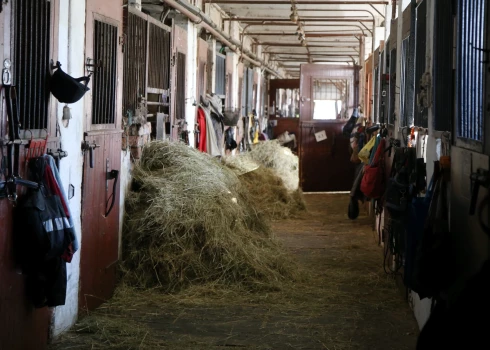 Sporta centrs "Kleisti" 2019. gadā.