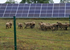 Latvenergo: zaļā enerģija sola zemākas cenas