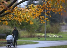 Strādājošiem vecākiem palielina vecāku pabalstu daļu līdz 75%