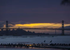 Sanfrancisko atrodas cunami riska zonā