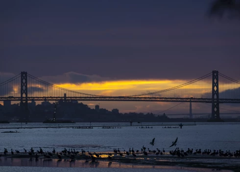 Sanfrancisko atrodas cunami riska zonā