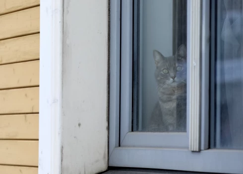 Gaisa temperatūra daudzviet pakāpusies virs nulles.