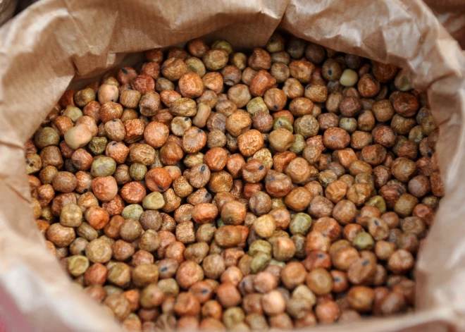 Jauna zirņu ražotne Jelgavā radīs 100 darba vietas un veicinās eksportu