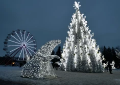 Сегодня - самый короткий день в году! После зимнего солнцестояния дни начнут становиться длиннее