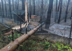 FOTO: stiprais vējš pamatīgi postījis "Ķepu-ķepā" patversmi – biedrība lūdz palīdzību 