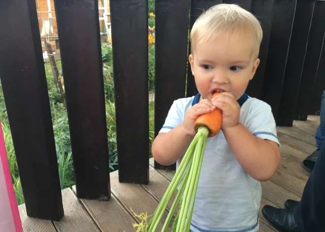 Agrāk ēda nemazgātus burkānus, lapās palika suņu kakas... Vai tiešām sterilās vides dēļ mūsu bērni kļūst arvien alerģiskāki?