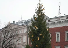 Уже точно - в этом году на Рождество может быть разве что дождь, но не снег