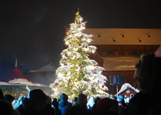 Rīgā vai Tallinā? Kurā pilsētā bijusi pirmā izpušķotā svētku egle? 