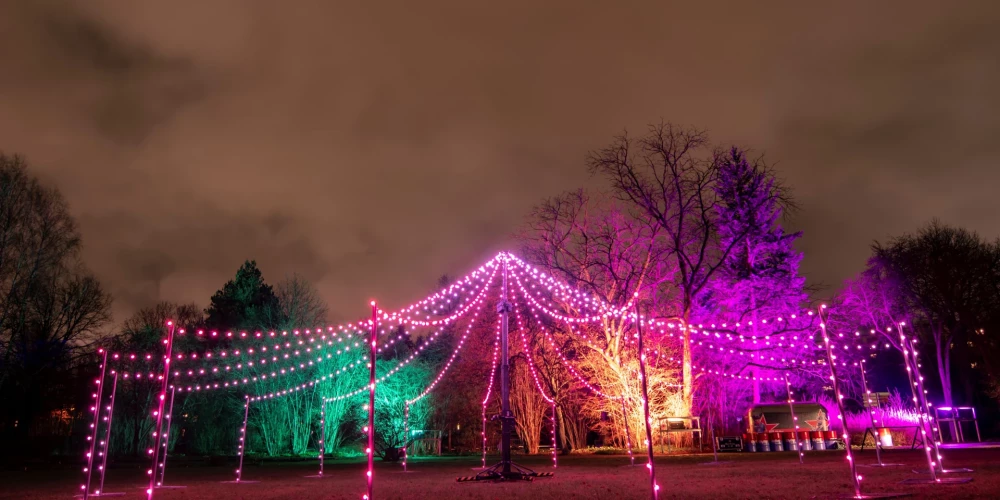 LU Botāniskajā dārzā notiek gaismas festivāls "Ziemas nedarbi. Ziedu stāsti”.