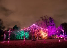 LU Botāniskajā dārzā notiek gaismas festivāls "Ziemas nedarbi. Ziedu stāsti”