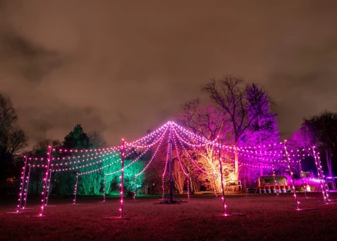 LU Botāniskajā dārzā notiek gaismas festivāls "Ziemas nedarbi. Ziedu stāsti”.