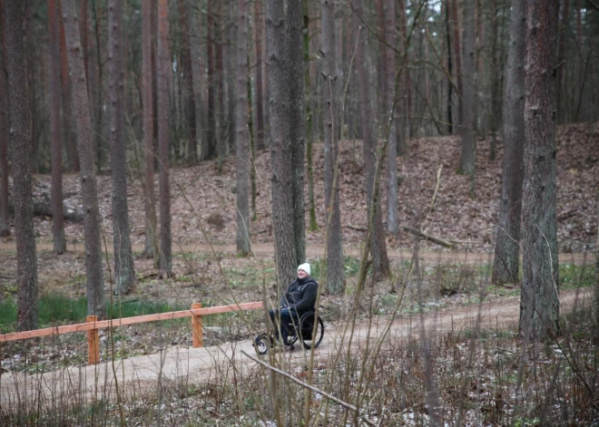 Šmerļa mežu tagad var izbraukāt arī ratiņkrēslā