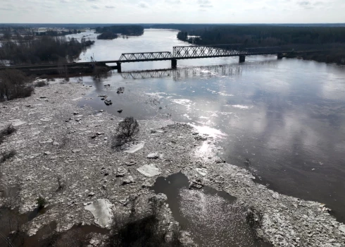 Vižņi Daugavā pie Zeļķu tilta.