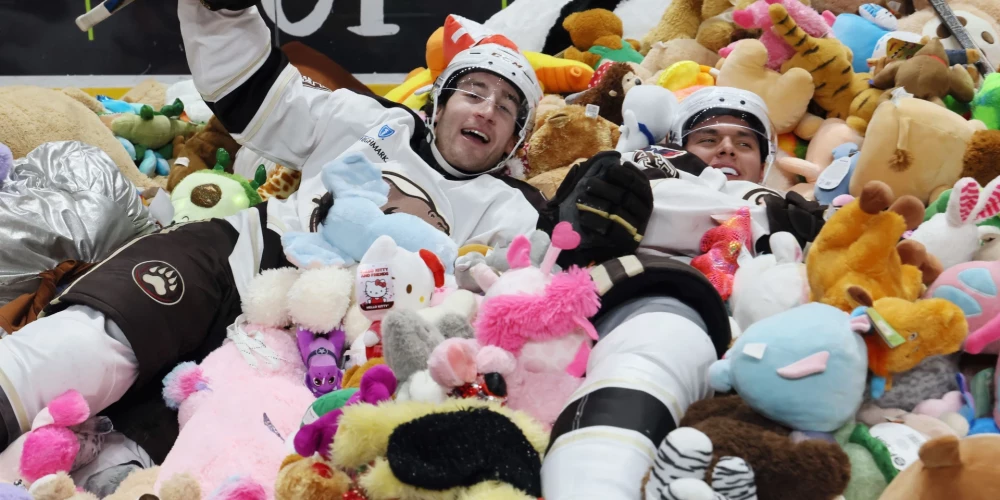  5. janvāra Hēršijas "Bears" spēlē pret Providensas "Bruins" notika akcija, kas nodēvēta par “GIANT Teddy Bear Toss” (no angļu valodas - milzu rotaļu lācīšu sviediens). Pirmās trešdaļas 15. minūtē pēc Heršijas komandas uzbrucēja Maika Sgarbosas vārtu guvuma laukumā tika izmestas 102 343 mīkstās rotaļlietas. 