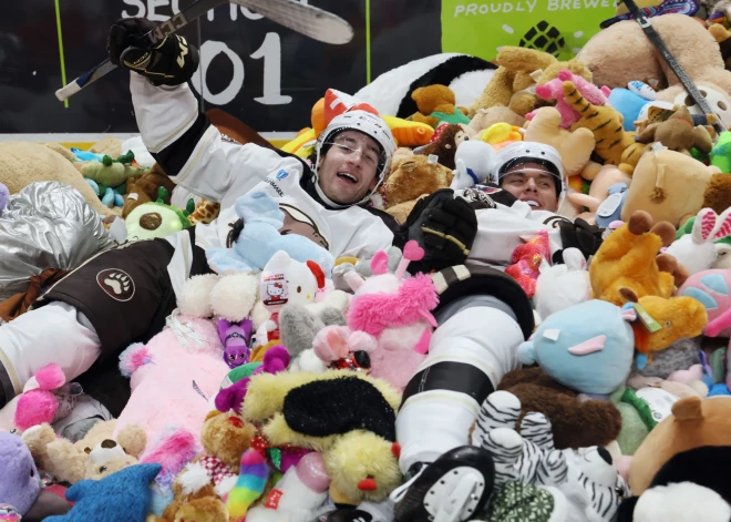  5. janvāra Hēršijas "Bears" spēlē pret Providensas "Bruins" notika akcija, kas nodēvēta par “GIANT Teddy Bear Toss” (no angļu valodas - milzu rotaļu lācīšu sviediens). Pirmās trešdaļas 15. minūtē pēc Heršijas komandas uzbrucēja Maika Sgarbosas vārtu guvuma laukumā tika izmestas 102 343 mīkstās rotaļlietas. 