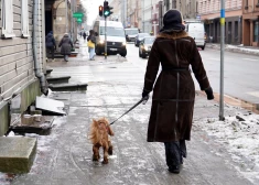 В Риге в среду ожидается пасмурная погода, с дождем и мокрым снегом