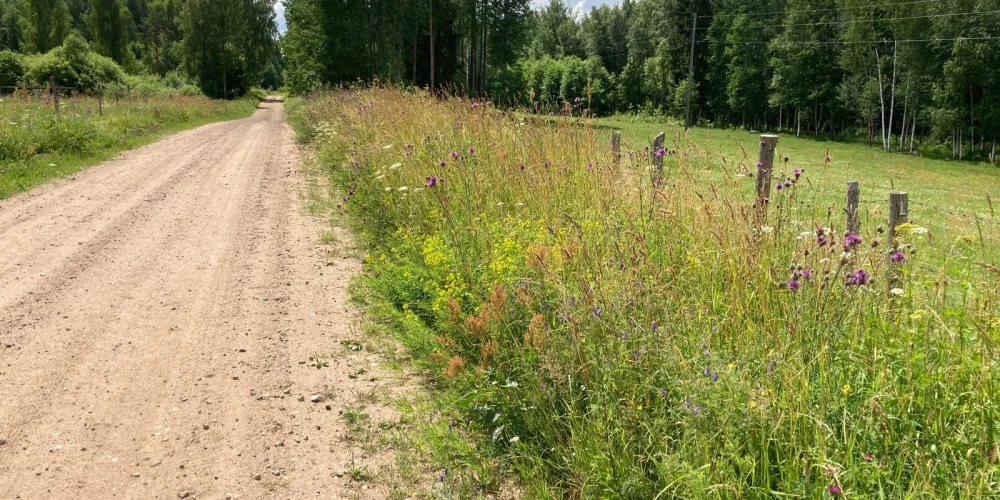 Mala ir pārejas zona starp divām vai vairākām ekosistēmām, kurai raksturīga īpaši bagātīga bioloģiskā daudzveidība.