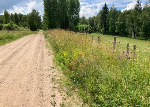 Mala ir pārejas zona starp divām vai vairākām ekosistēmām, kurai raksturīga īpaši bagātīga bioloģiskā daudzveidība.