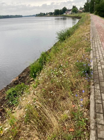 Mala ir pārejas zona starp divām vai vairākām ekosistēmām, kurai raksturīga īpaši bagātīga bioloģiskā daudzveidība.