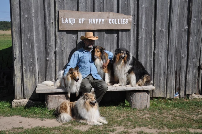 Vecais Kollijs ar saviem mīluļiem, vēl vairāki ir ārpus kadra.