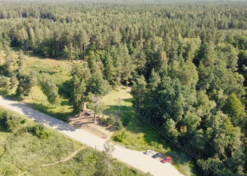 Lagzdīnes pilskalns no putna lidojuma (foto: Kaspars Markus Molls)