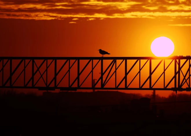 Диапазон температур в 2024 году в Латвии достиг 62,4°C: от -29,5°C до +32,9°C