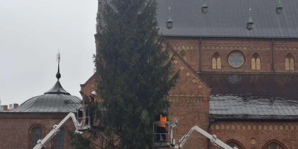 No Doma laukuma aizvāc svētku eglīti.