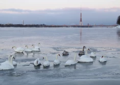 Во вторник температура понизится, возможен дождь