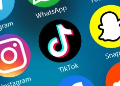 Lēmumu, vai lietotni, neatkarīgi, vai tā būtu “TikTok” vai kāda cita lietotne, uzstādīt konkrētajā iekārtā, pirmkārt, nosaka tas, vai šī iekārta tiek izmantota darbam vai privātajām vajadzībām.