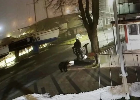 Kameras ierakstos manāms, ka lācis iznāca no Pērnavas upes svētdienas rītā, plkst. 4.41.